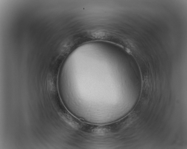 X0000068730408200605011004