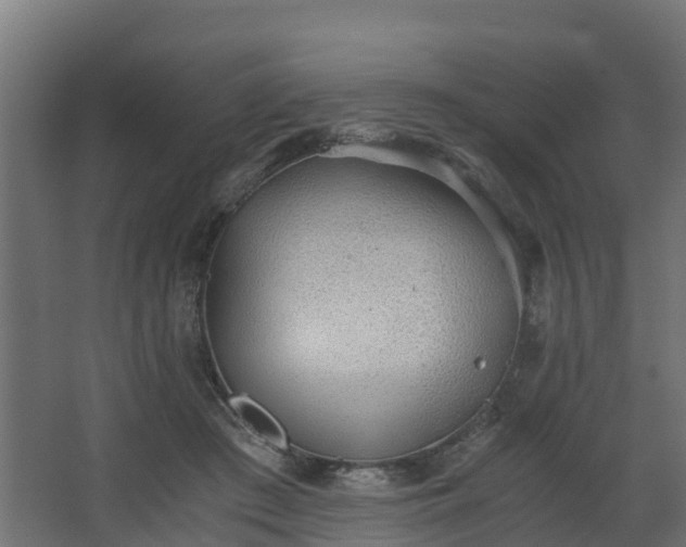 X0000068730409200605011004