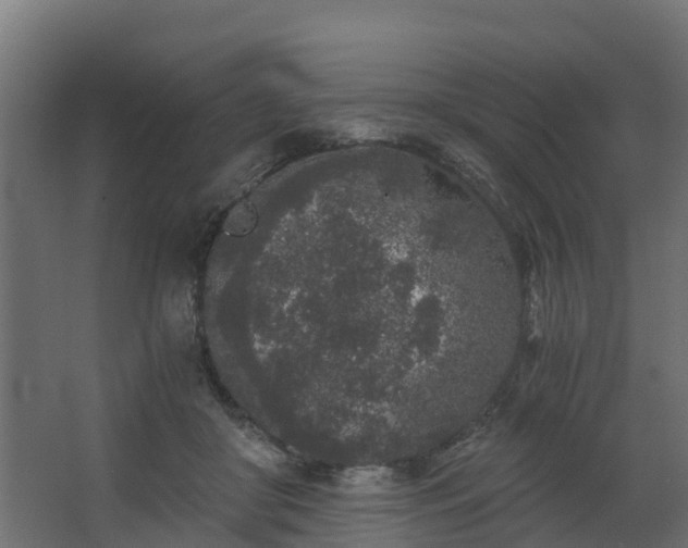 X0000068730410200605011004