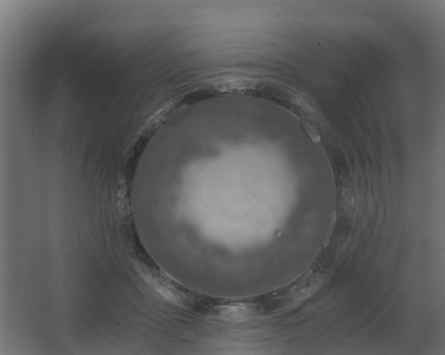 X0000068730411200605011004