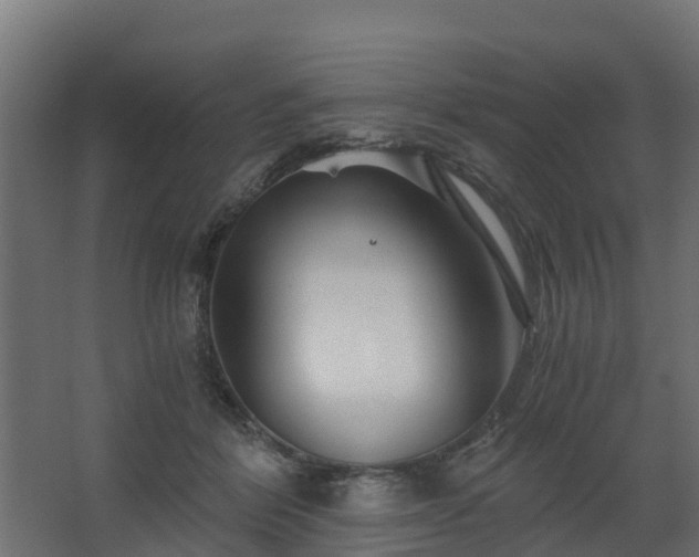 X0000068730412200605011004