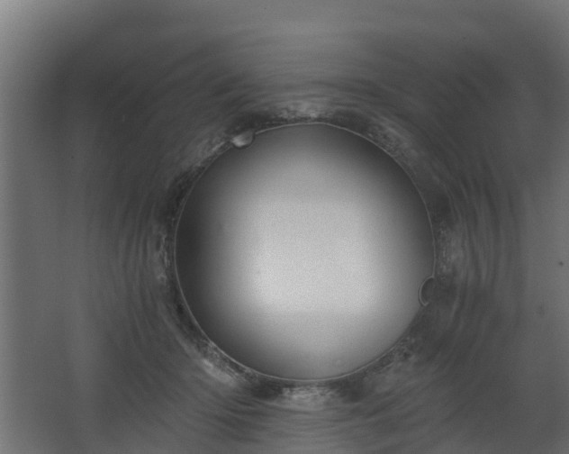 X0000068730414200605011004