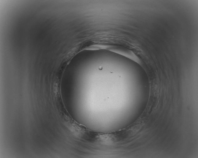 X0000068730417200605011004