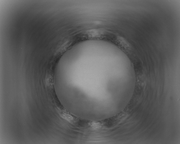 X0000068730419200605011004