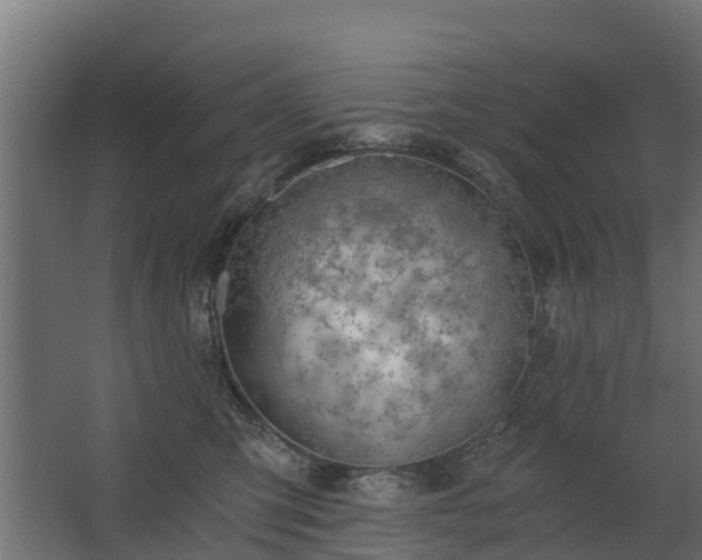 X0000068730423200605011004