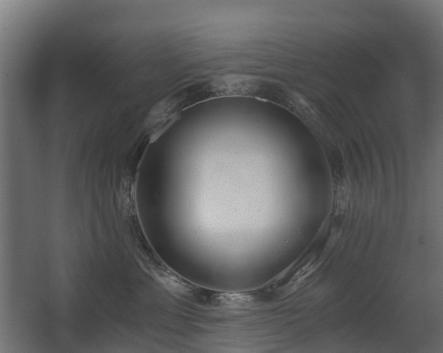 X0000068730429200605011004