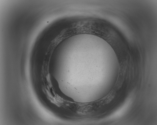 X0000068730431200605011004