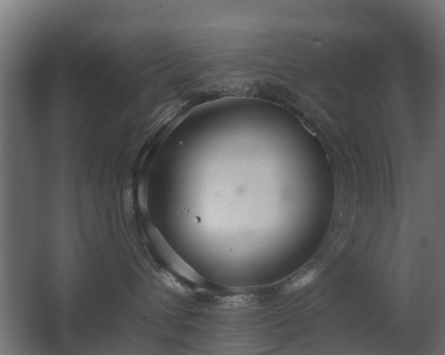 X0000068730432200605011004