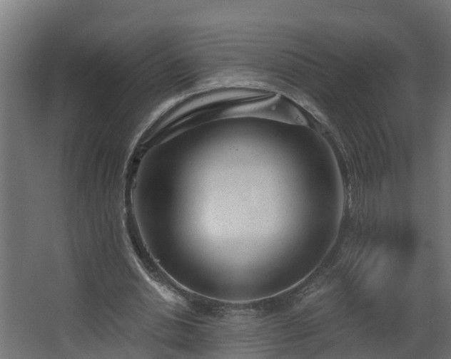 X0000068730438200605011003