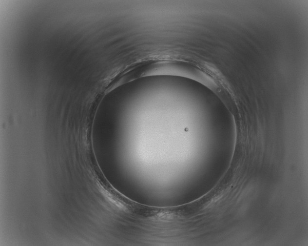 X0000068730441200605011003