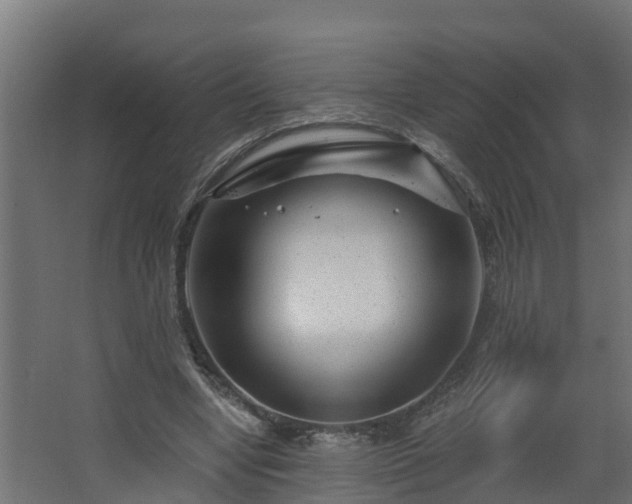 X0000068730442200605011003