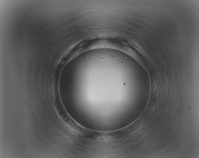 X0000068730444200605011003