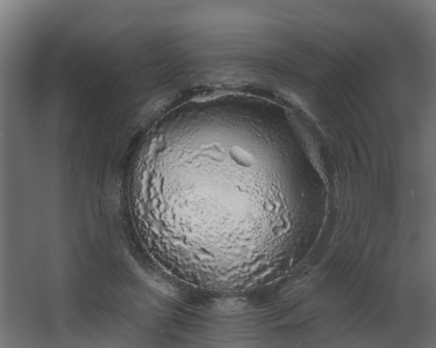 X0000068730451200605011003