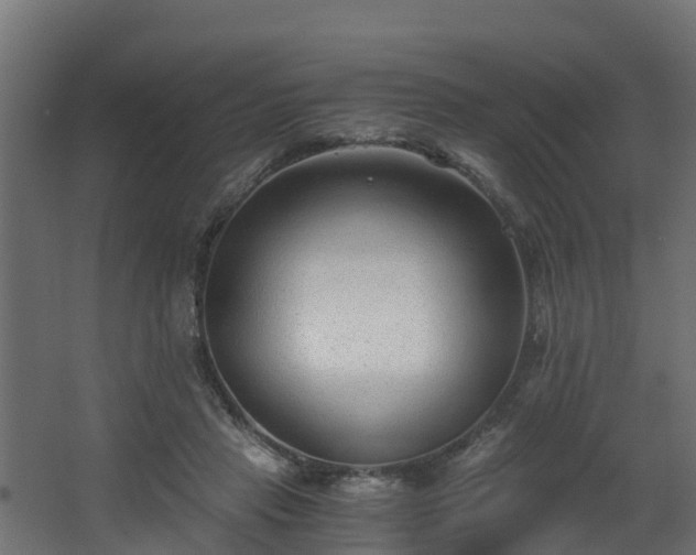 X0000068730453200605011003