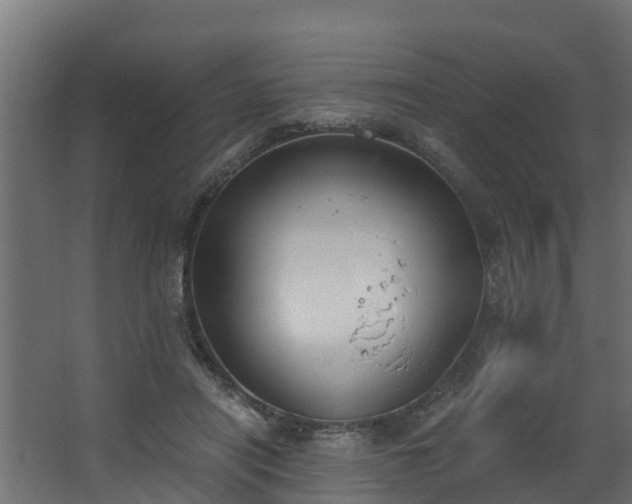 X0000068730454200605011003