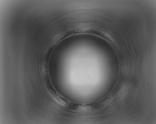 X0000068730455200605011003