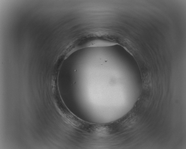 X0000068730456200605011004