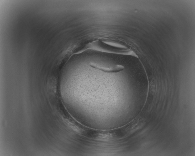 X0000068730458200605011004