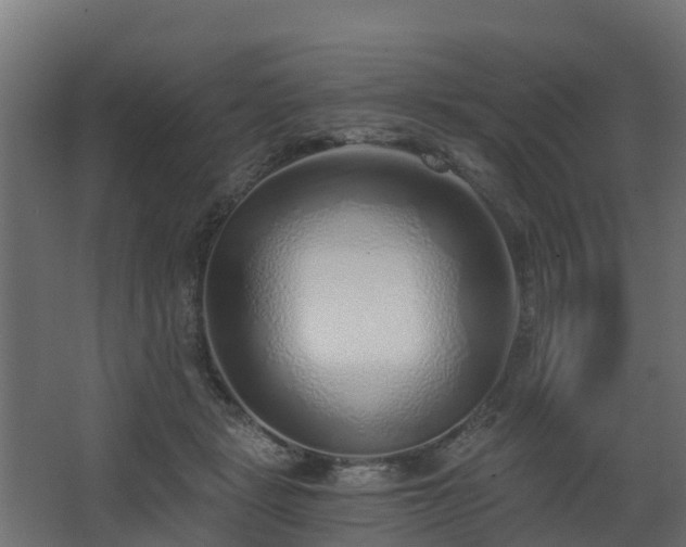 X0000068730461200605011004