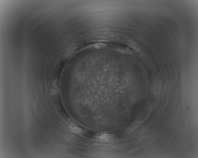 X0000068730467200605011004