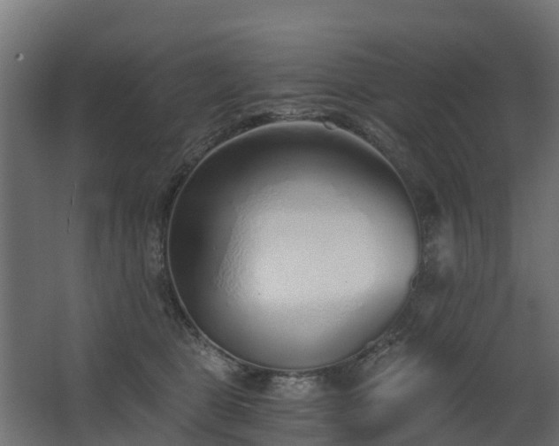 X0000068730469200605011004