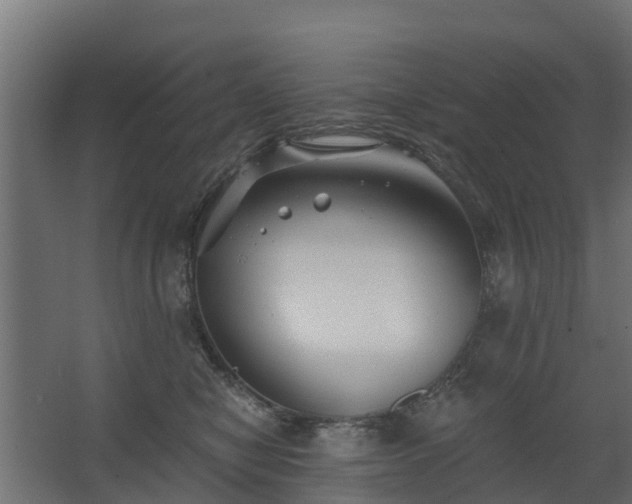 X0000068730470200605011004