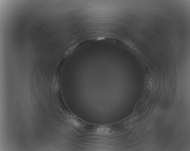 X0000068730471200605011004