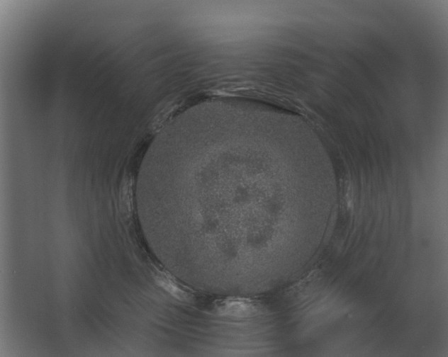 X0000068730475200605011004