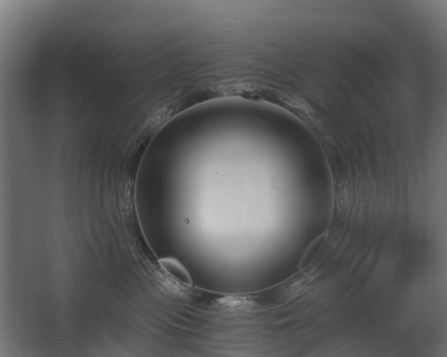 X0000068730477200605011004