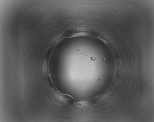 X0000068730478200605011004