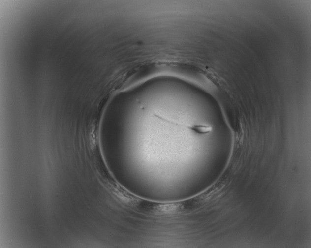 X0000068730479200605011004