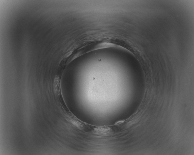 X0000068730480200605011004