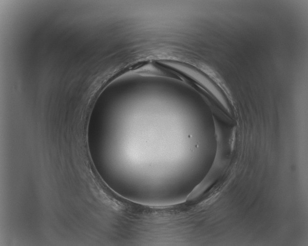 X0000068730481200605011003