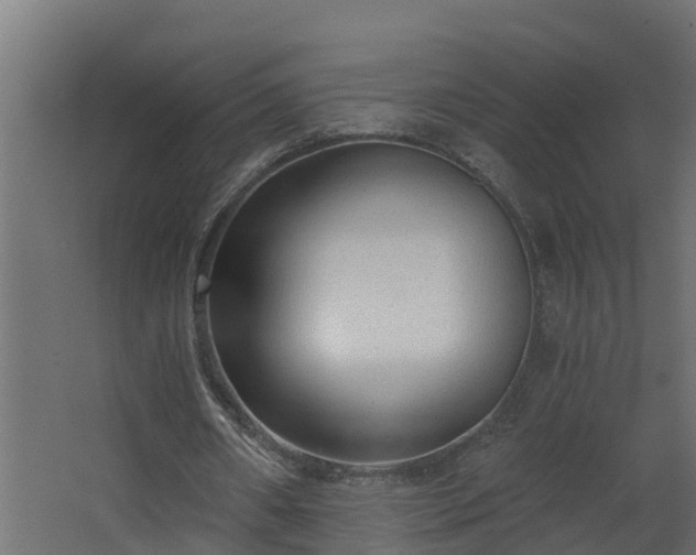 X0000068730482200605011003