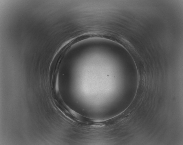 X0000068730484200605011003