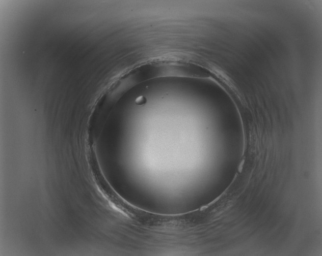 X0000068730485200605011003