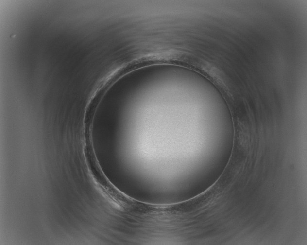 X0000068730486200605011003