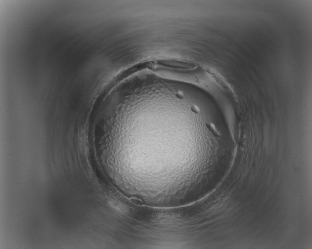 X0000068730487200605011003