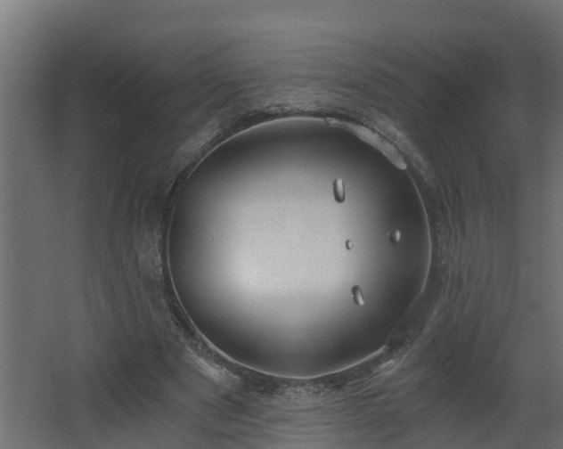 X0000068730489200605011003