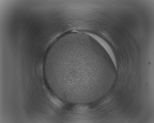 X0000068730491200605011003