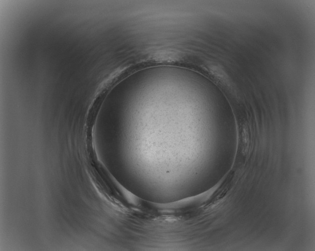 X0000068730492200605011003