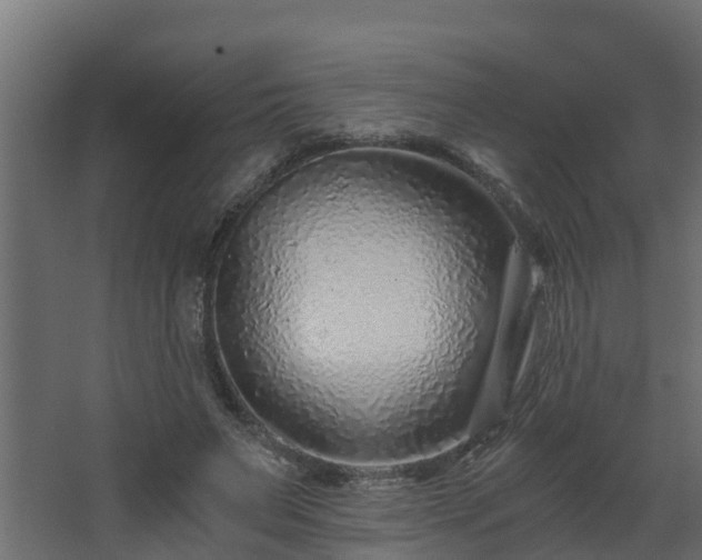 X0000068730495200605011003