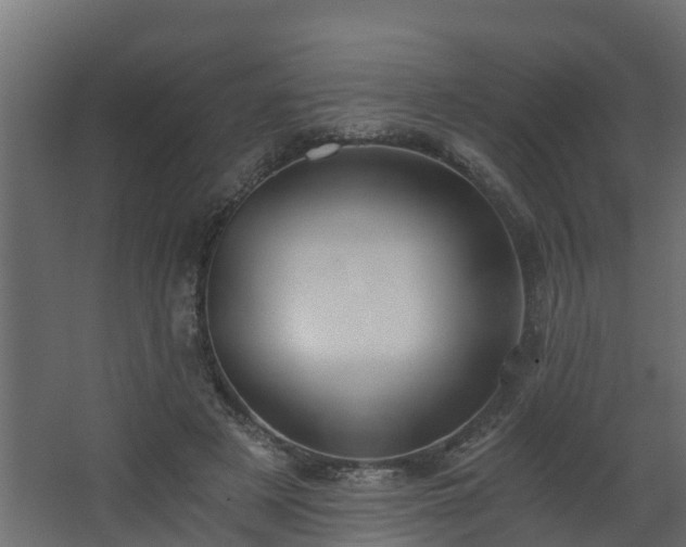 X0000068730497200605011003