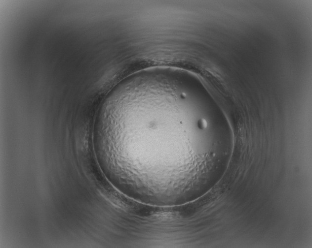 X0000068730499200605011003