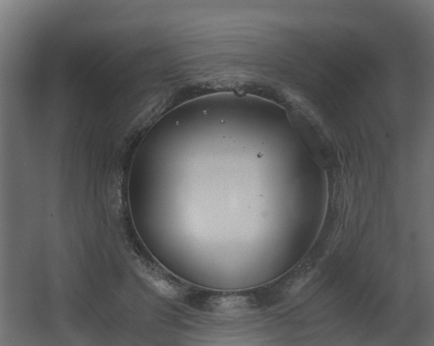 X0000068730501200605011003