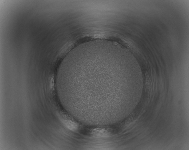 X0000068730502200605011003