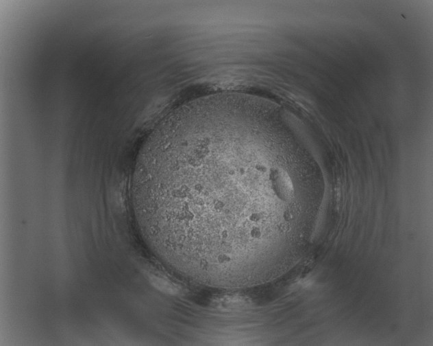 X0000068730503200605011003