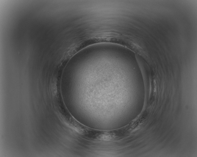 X0000068730504200605011003