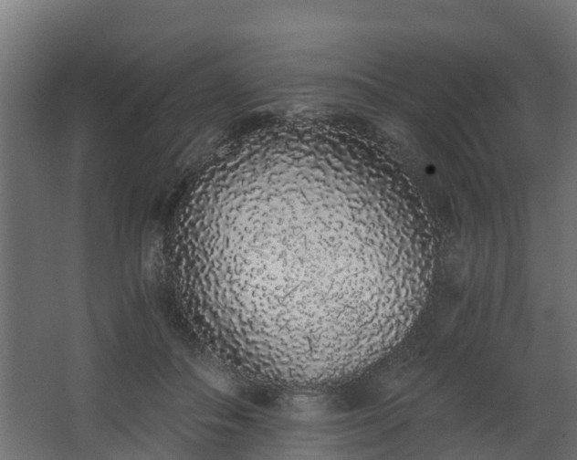 X0000068730506200605011003