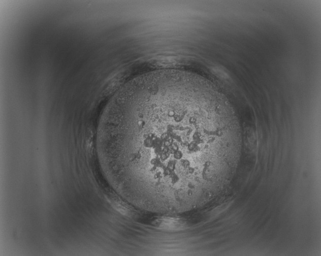 X0000068730507200605011003